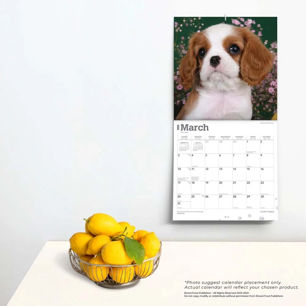 Cavalier King Charles Puppies 2024 Wall Calendar 6 Cavalier King Charles Puppies 2024 Wall Calendar - Image 4