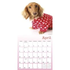 Pajama Pups 2024 Wall Calendar -Calendars Sales Store cfcfe6a9 3257 49e5 9710 da5ab0ae7c53