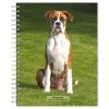 Boxers International Edition Engagement 2024 Desk Calendar -Calendars Sales Store d0e1c644 042a 49fe bd5f 400177751c26