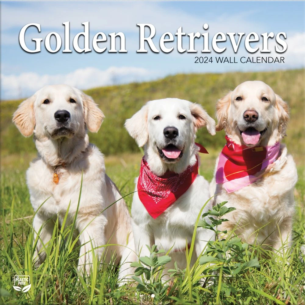 Golden Retrievers Photo 2024 Wall Calendar 3 Golden Retrievers Photo 2024 Wall Calendar