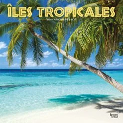 Iles Tropicales 2024 Wall Calendar