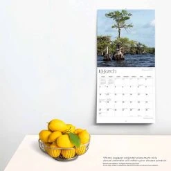 Florida Wild And Scenic 2024 Wall Calendar -Calendars Sales Store d21fcb6f 1ed6 412d 976a a5c9f8f42c5a
