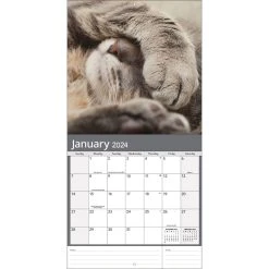 Cats Photo 2024 Wall Calendar -Calendars Sales Store d299991b 59db 403e 8f43 8d6805b27abe