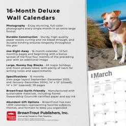 Pit Bull Terriers Deluxe 2024 Wall Calendar 14 Pit Bull Terriers Deluxe 2024 Wall Calendar -Calendars Sales Store d32e2d8c 6af3 4882 951a 8237e9865887