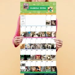 Cat A Day 2024 Wall Calendar -Calendars Sales Store d3aa70ee 0967 4031 873f 8badae725ec6