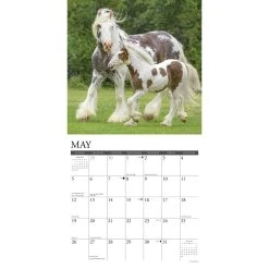 Gypsy Vanner Horses 2024 Wall Calendar -Calendars Sales Store d3dae658 fe73 40e6 8753 a0368e5da7c2