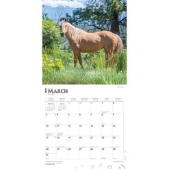 Horses Quarter 2024 Wall Calendar 12 Horses Quarter 2024 Wall Calendar -Calendars Sales Store d41e5b3a 184c 4c32 aee1 4667742fe4a2