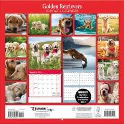 Golden Retrievers Photo 2024 Wall Calendar 14 Golden Retrievers Photo 2024 Wall Calendar -Calendars Sales Store d4b96d94 f5f6 425c a2ba 530fca05f2a9