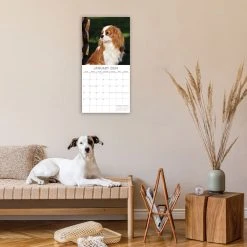 Cavalier King Charles Spaniels 2024 Wall Calendar -Calendars Sales Store d4d01d41 8aba 487b 9d38 06c50d3115ef