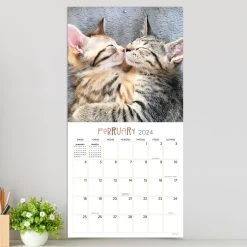Cat Dreams 2024 Wall Calendar -Calendars Sales Store d56d18c1 4655 4679 9a3c a190ee42c523