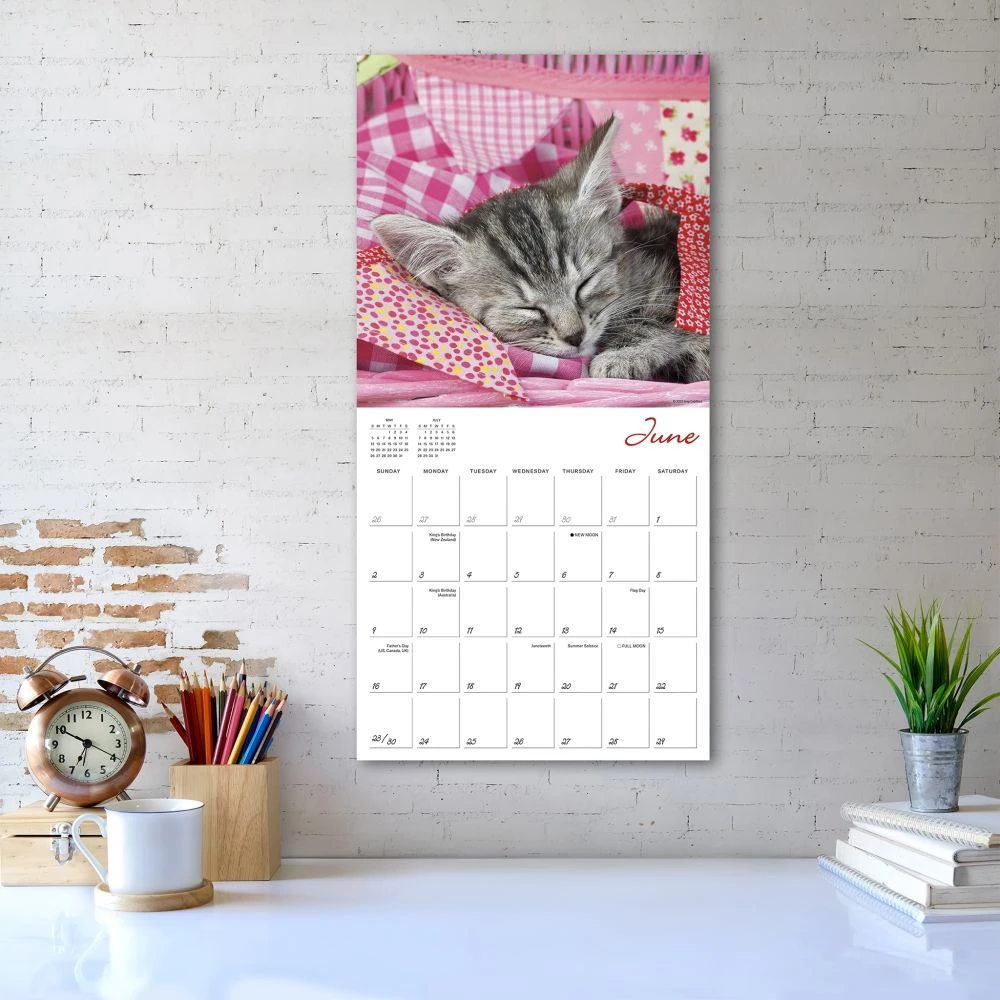 Cat Naps 2024 Wall Calendar 8 Cat Naps 2024 Wall Calendar - Image 6