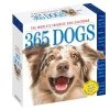 Dogs 365 2024 Desk Calendar -Calendars Sales Store d5d0d891 25fd 4c06 b688 129a174c7db7