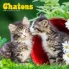 Chatons Kittens 2024 Wall Calendar -Calendars Sales Store d75ef55c 5371 4145 8665 bf7e28398d97