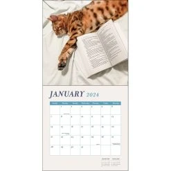 Cats And Books 2024 Wall Calendar -Calendars Sales Store d7f571ff 39bb 4f7e be9c e83c2ec67102