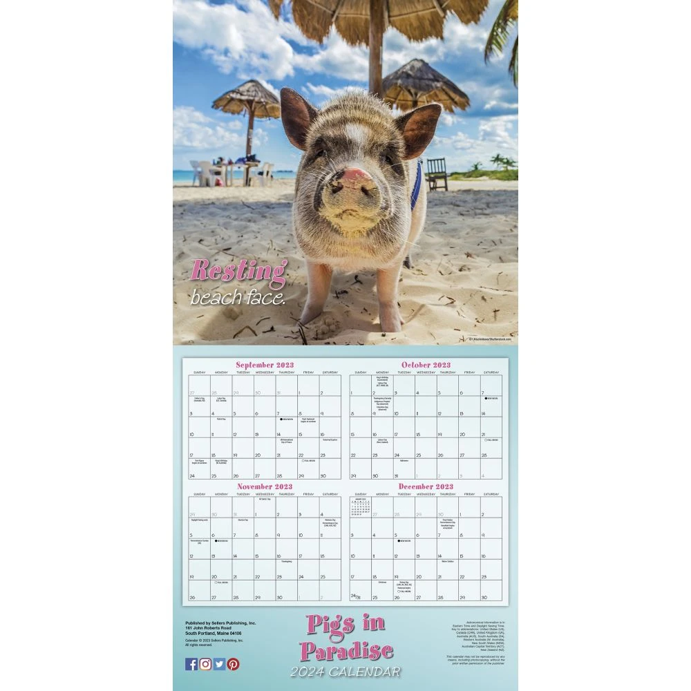 Pigs In Paradise 2024 Wall Calendar 7 Pigs In Paradise 2024 Wall Calendar - Image 5