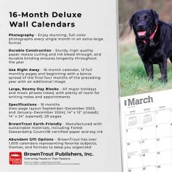 For The Love Of Labrador Retrievers 2024 Wall Calendar -Calendars Sales Store dbccb85c bdce 4db6 a3f2 8ba6a832b116