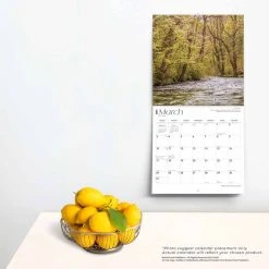 Rhode Island 2024 Wall Calendar 13 Rhode Island 2024 Wall Calendar -Calendars Sales Store ddd8505e fe26 40c1 872b e5804910efbd