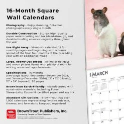 Rats 2024 Wall Calendar 14 Rats 2024 Wall Calendar -Calendars Sales Store ddf10498 cff1 4c51 bb8e c746d6c946a9