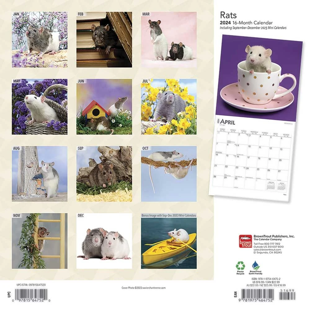 Rats 2024 Wall Calendar 4 Rats 2024 Wall Calendar - Image 2