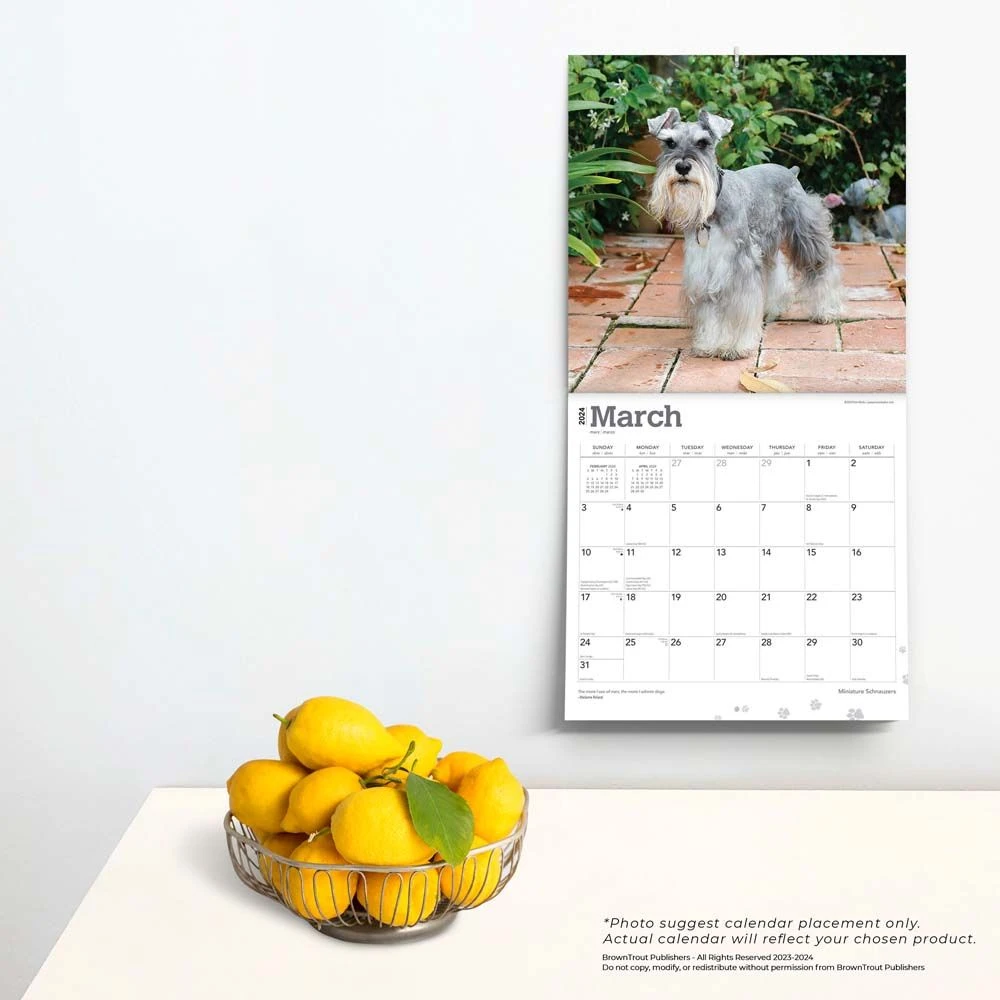 Miniature Schnauzers 2024 Wall Calendar 6 Miniature Schnauzers 2024 Wall Calendar - Image 4