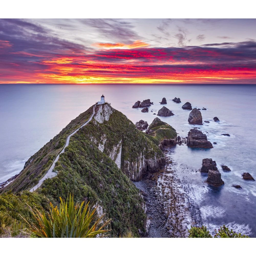 Most Beautiful Places WWF 2024 Wall Calendar 6 Most Beautiful Places WWF 2024 Wall Calendar - Image 4