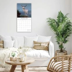 Country Wildlife 2024 Wall Calendar -Calendars Sales Store df8a6254 8385 41be 9bec 6d97614bc559
