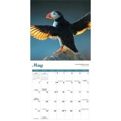 Puffins 2024 Wall Calendar -Calendars Sales Store dfee0d21 da94 49d0 8e08 fa4e13b96342