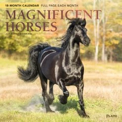 Magnificent Horses 18 Month 2024 Wall Calendar