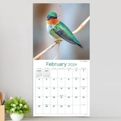 Backyard Birds 2024 Wall Calendar -Calendars Sales Store e1cd97fd 0bdd 465c a5b8 c419baf72493
