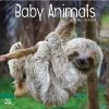 Baby Animals Photo 2024 Wall Calendar -Calendars Sales Store e29aac40 b08e 4d01 84c8 c7c4fadc13b5