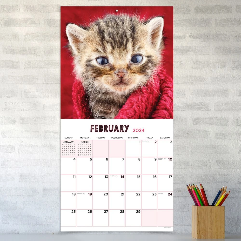 Kittens 2024 Wall Calendar 6 Kittens 2024 Wall Calendar - Image 4
