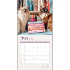 Cats And Books 2024 Wall Calendar -Calendars Sales Store e51941ce 6960 4101 9c63 23c74f9d5bdd