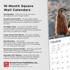 Meerkats 2024 Wall Calendar -Calendars Sales Store e5f91fd8 fbdc 43f1 9e59 86273ee7bc3e