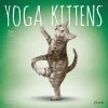 Yoga Kittens 2024 Wall Calendar -Calendars Sales Store e82c147f 2c56 4b7a 97f8 2a2036f19509