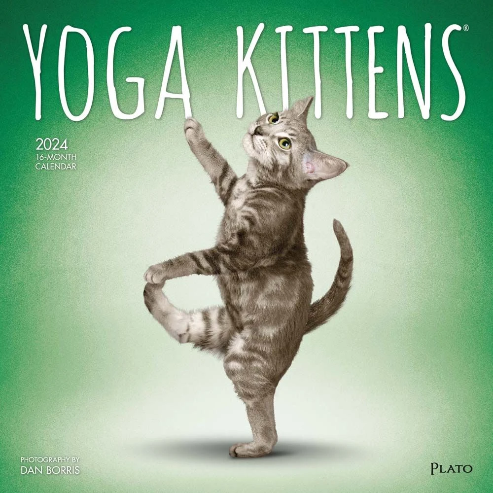 Yoga Kittens 2024 Wall Calendar 3 Yoga Kittens 2024 Wall Calendar