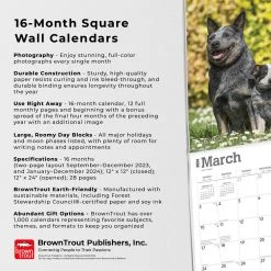 Blue Heelers 2024 Wall Calendar 14 Blue Heelers 2024 Wall Calendar -Calendars Sales Store e8c43cae b6c9 4bc1 ab2f 3ab6af3b01b9