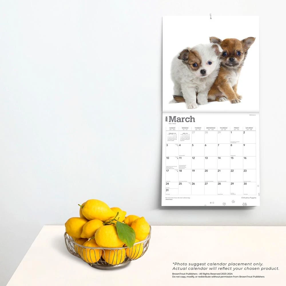 Chihuahua Puppies 2024 Wall Calendar 6 Chihuahua Puppies 2024 Wall Calendar - Image 4
