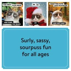 Chronicle Books Grumpy Cat 2024 Wall Calendar -Calendars Sales Store e98a7710 67fd 49a2 9775 2757ae0b3616