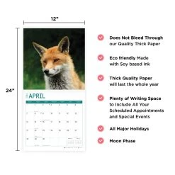 Foxes 2024 Wall Calendar 18 Foxes 2024 Wall Calendar -Calendars Sales Store ea90d219 050f 4d89 8a29 2e74ab352c0c