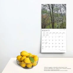 New Jersey Wild And Scenic 2024 Wall Calendar -Calendars Sales Store eaec7280 2073 4976 88b4 072cb1f48f7f