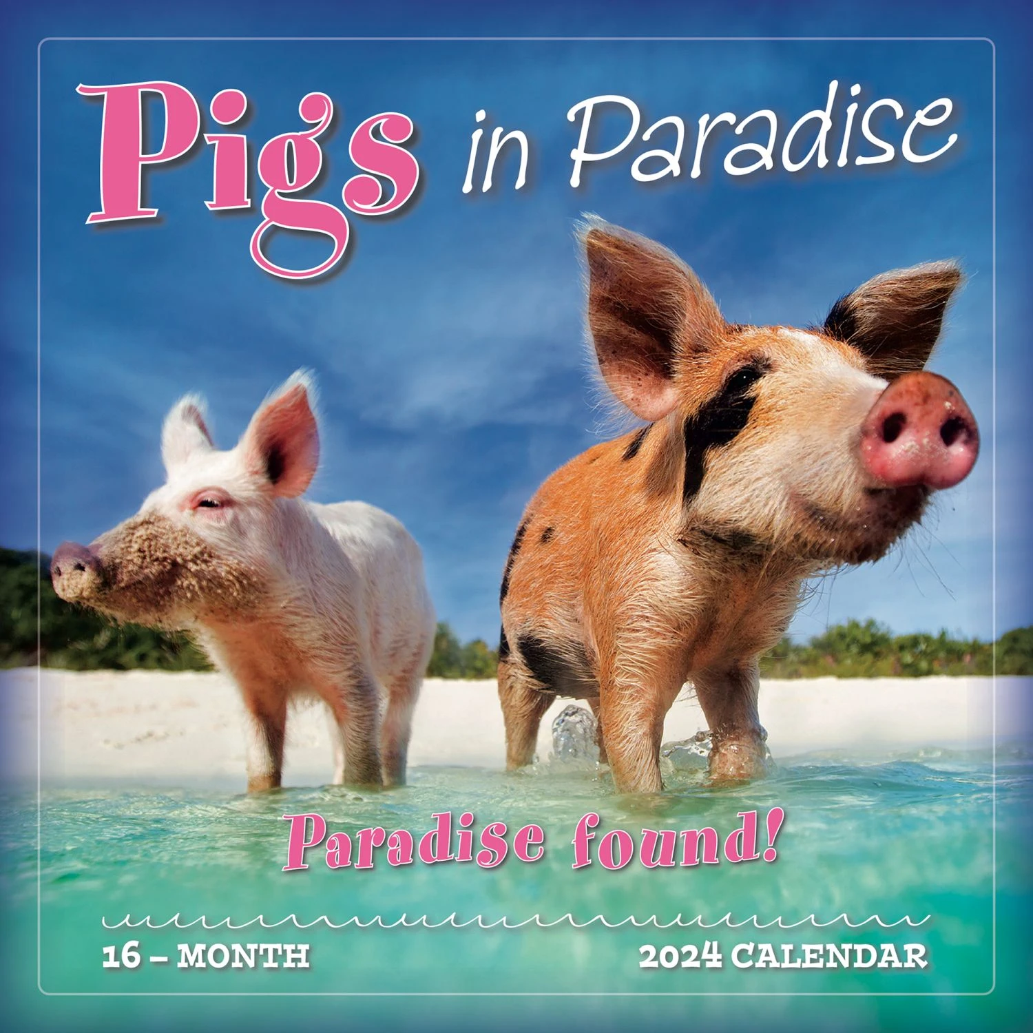 Pigs In Paradise 2024 Wall Calendar 3 Pigs In Paradise 2024 Wall Calendar