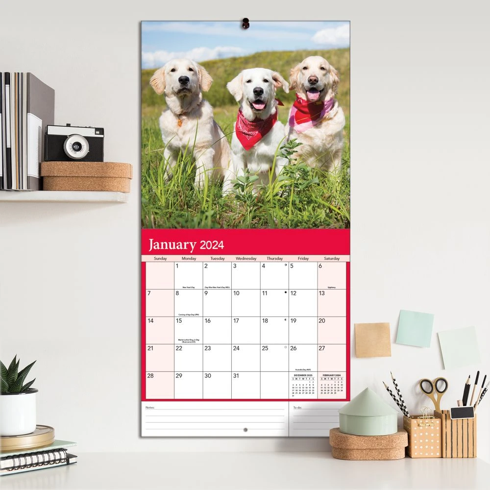 Golden Retrievers Photo 2024 Wall Calendar 12 Golden Retrievers Photo 2024 Wall Calendar - Image 10