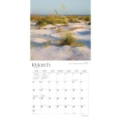 Florida Nature 2024 Wall Calendar -Calendars Sales Store ebf89ee0 fd5d 4a64 a7e5 01506cbf707a