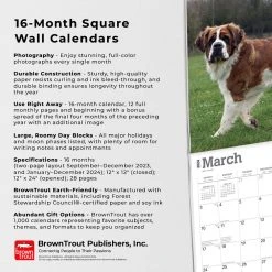 Saint Bernards 2024 Wall Calendar -Calendars Sales Store ecd70f19 8a26 43e2 9f60 982351891016