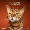 Cool Cats 2024 Wall Calendar -Calendars Sales Store ed305f89 4543 4c49 b185 2cad6da47377
