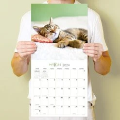 Cat Dreams 2024 Wall Calendar -Calendars Sales Store ed3482e9 241e 4170 8314 271a2a534ff7