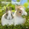 Honey Bunny 2024 Wall Calendar -Calendars Sales Store ed5e0d91 d5d6 42cb af47 2e5daff5f0fc