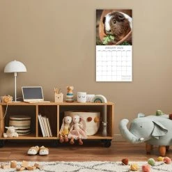 Guinea Pigs 2024 Wall Calendar -Calendars Sales Store ee681582 d75c 431d a069 835eabceaadf