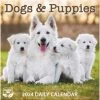 Dogs And Puppies 2024 Desk Calendar 2 Dogs And Puppies 2024 Desk Calendar -Calendars Sales Store f03f191a 5064 485a becf 79f1872b3a0f