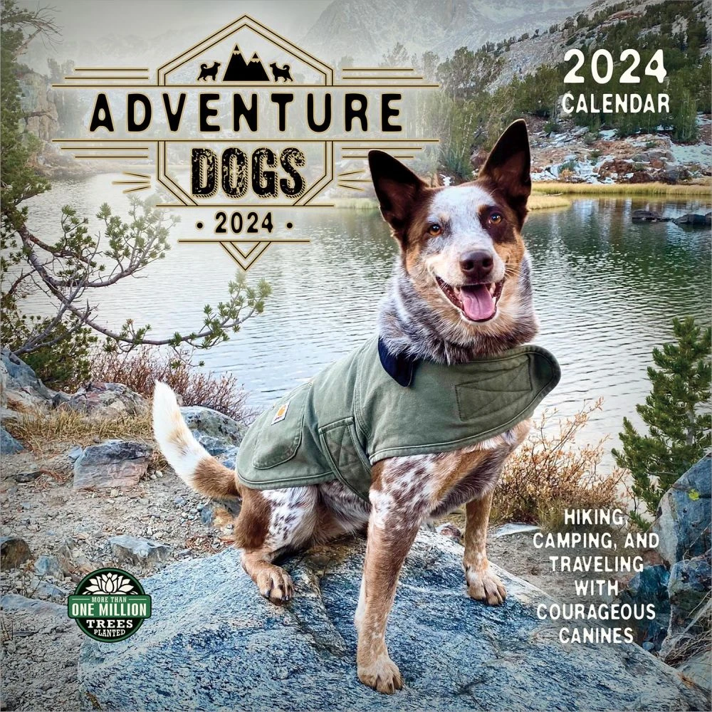 Dogs Adventure 2024 Wall Calendar 3 Dogs Adventure 2024 Wall Calendar